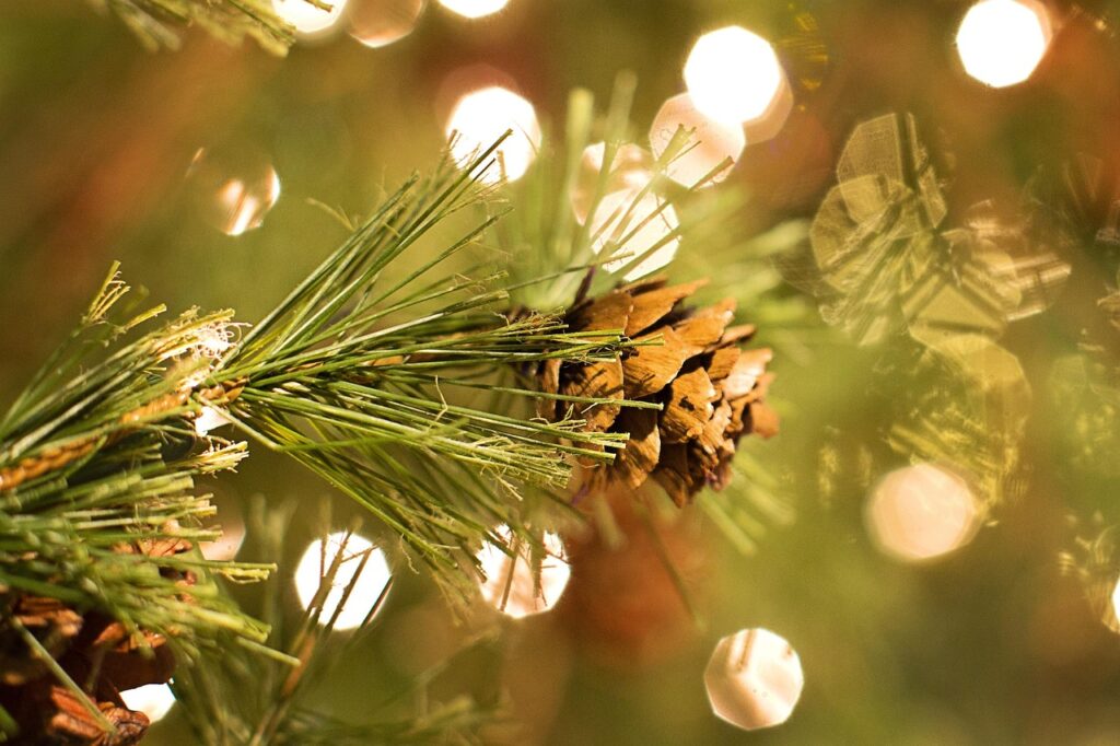 会社員彼氏へのXmasにぴったりなぜいたくギフトの高級ディナー相場と目安は？